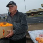 vinde portocale